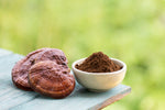 Reishi Mushroom Powder